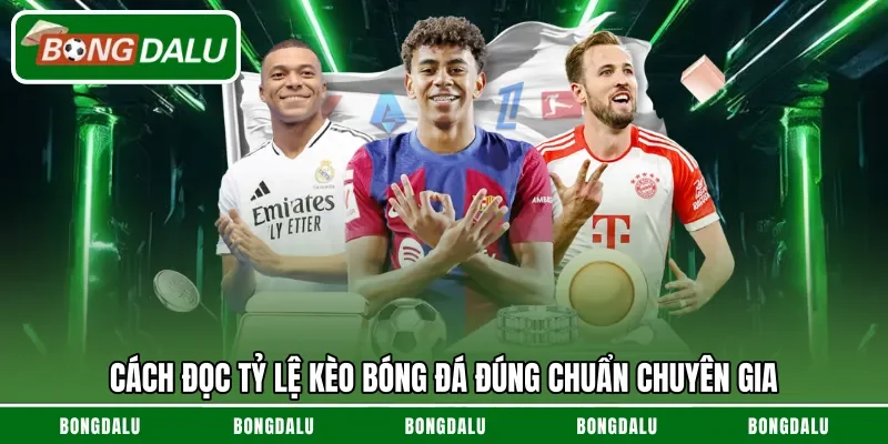 Cách đọc tỷ lệ kèo bóng đá đúng chuẩn chuyên gia