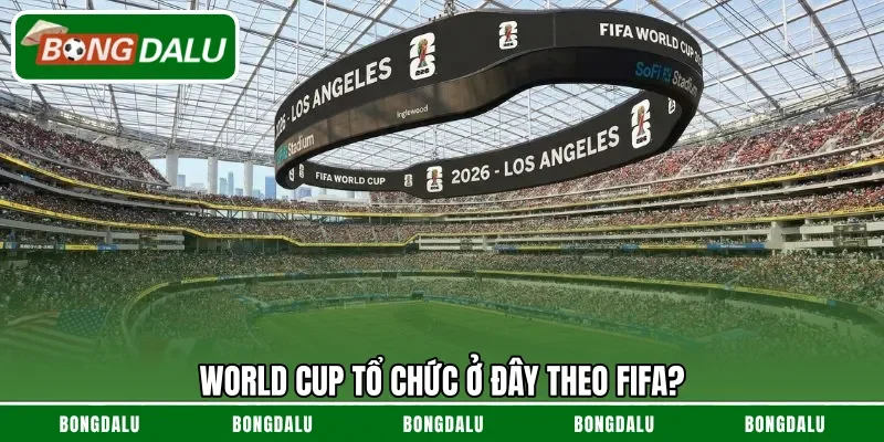 World Cup tổ chức ở đây theo FIFA?